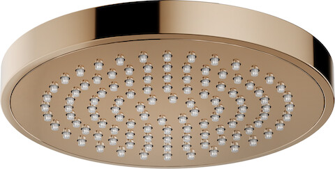 Rociador/Regadera ø100mm