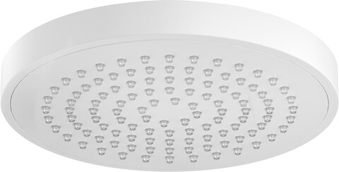 Rociador/Regadera ø100mm